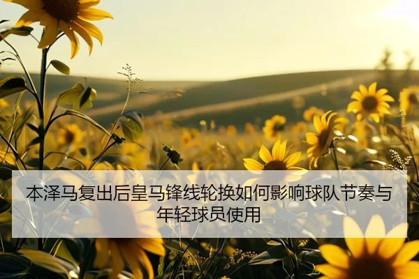 ben-ze-ma-fu-chu-hou-huang-ma-feng-xian-lun-huan-ru-he-ying-xiang-qiu-dui-jie-zou-yu-nian-qing-qiu-yuan-shi-yong-2-215.jpg